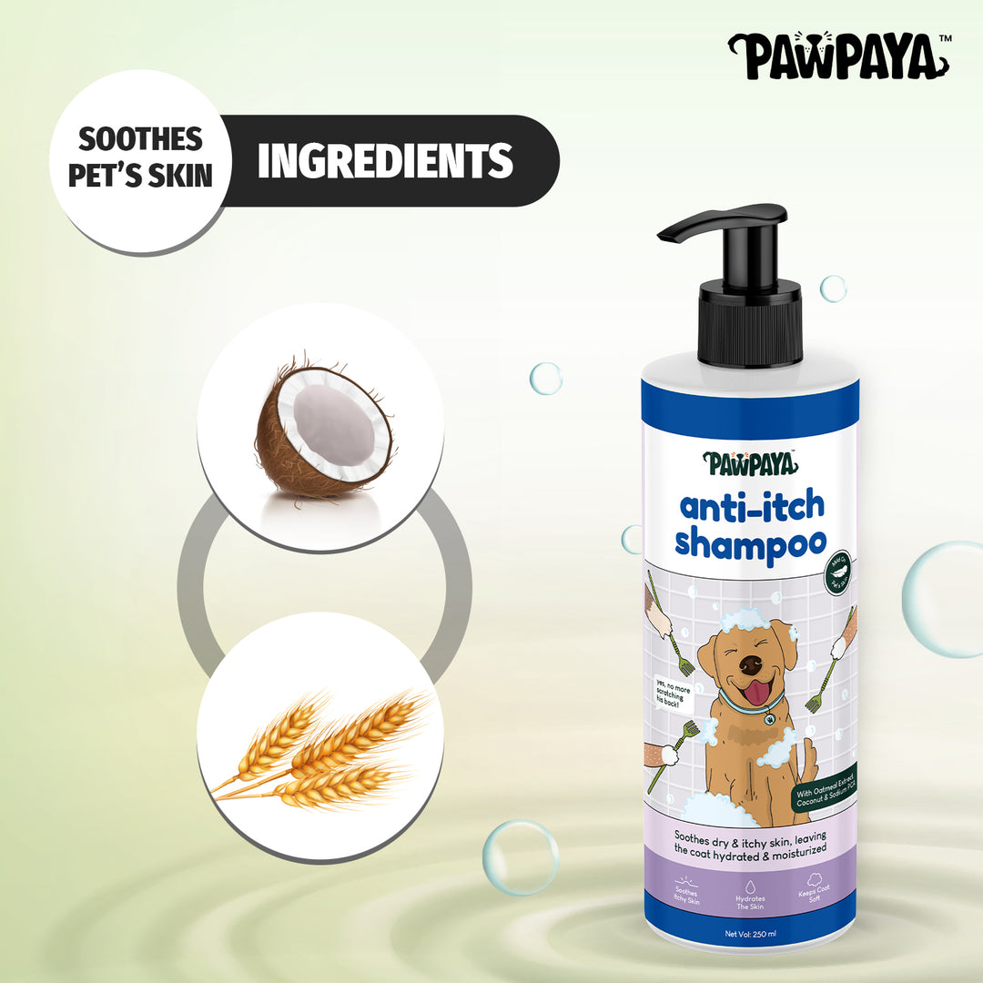 Pawpaya Anti-Itch Shampoo,  250 ml, Natural ingredients shampoo for dogs, coat care shampoo, Buy best dog shampoo in India , Affordable dog shampoo,