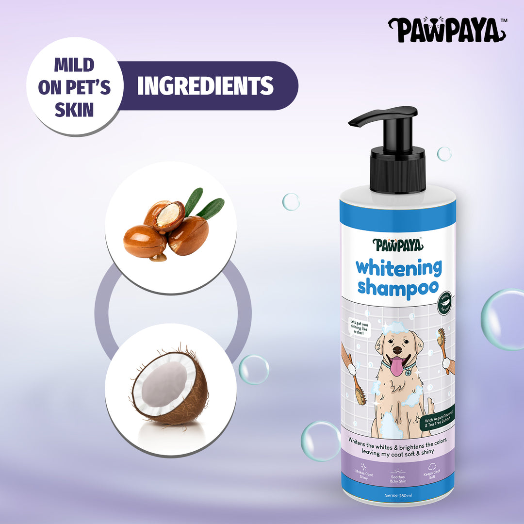 Pawpaya Whitening Dog Shampoo (PP1206) natural whitening dog shampoo for dogs, whitening dog shampoo non toxic, whitening dog shampoo reviews, best whitening dog shampoo for dogs