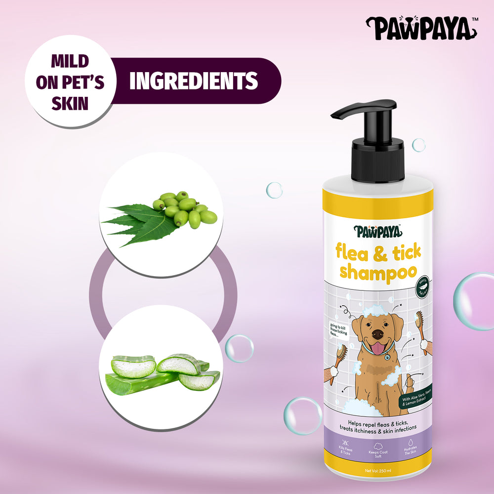 Natural itch relief & pest protection, Pawpaya Flea & Tick Shampoo, remove flea, tick, and mosquito-free while soothing itchy skin. Shop at ABK Grooming (India), anti-itch shampoo for dogs with allergies, dog anti-itch shampoo uk