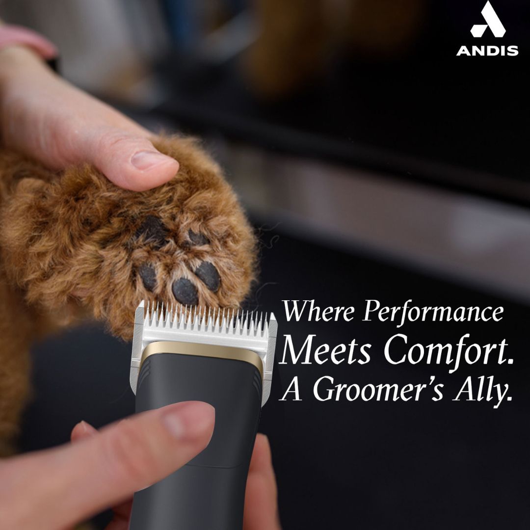 pet clippers, dog clippers, cat clippers, quiet pet clippers, best pet clippers cordless pet clippers, professional pet clippers, grooming clippers for pets, pet clippers for thick fur, Battery-powered pet clippers cheap pet clippers, dog grooming clippers for home use, best clippers for small dogs, electric pet clippers, cat nail clippers and clipper