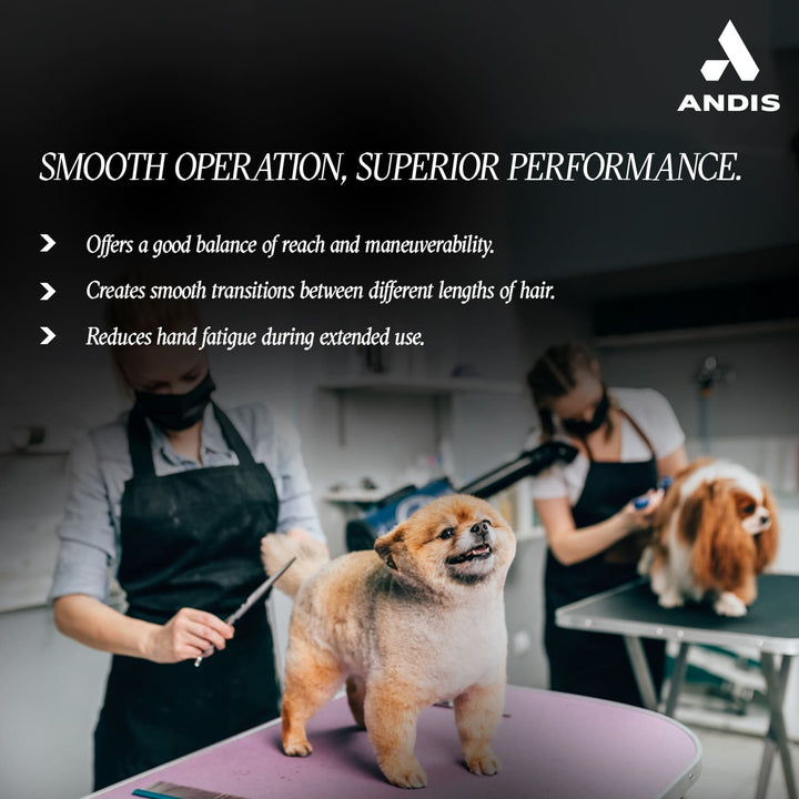 Best Andis Premium 6.5 Thinning Shear, right-handed, sharp stainless steel shears for thinning and texturizing pet fur, professional grooming tool for dogs and cats, durable and long-lasting thinning shear for smooth cuts, ergonomic right-handed handle for comfortable use, ideal for groomers and pet owners.