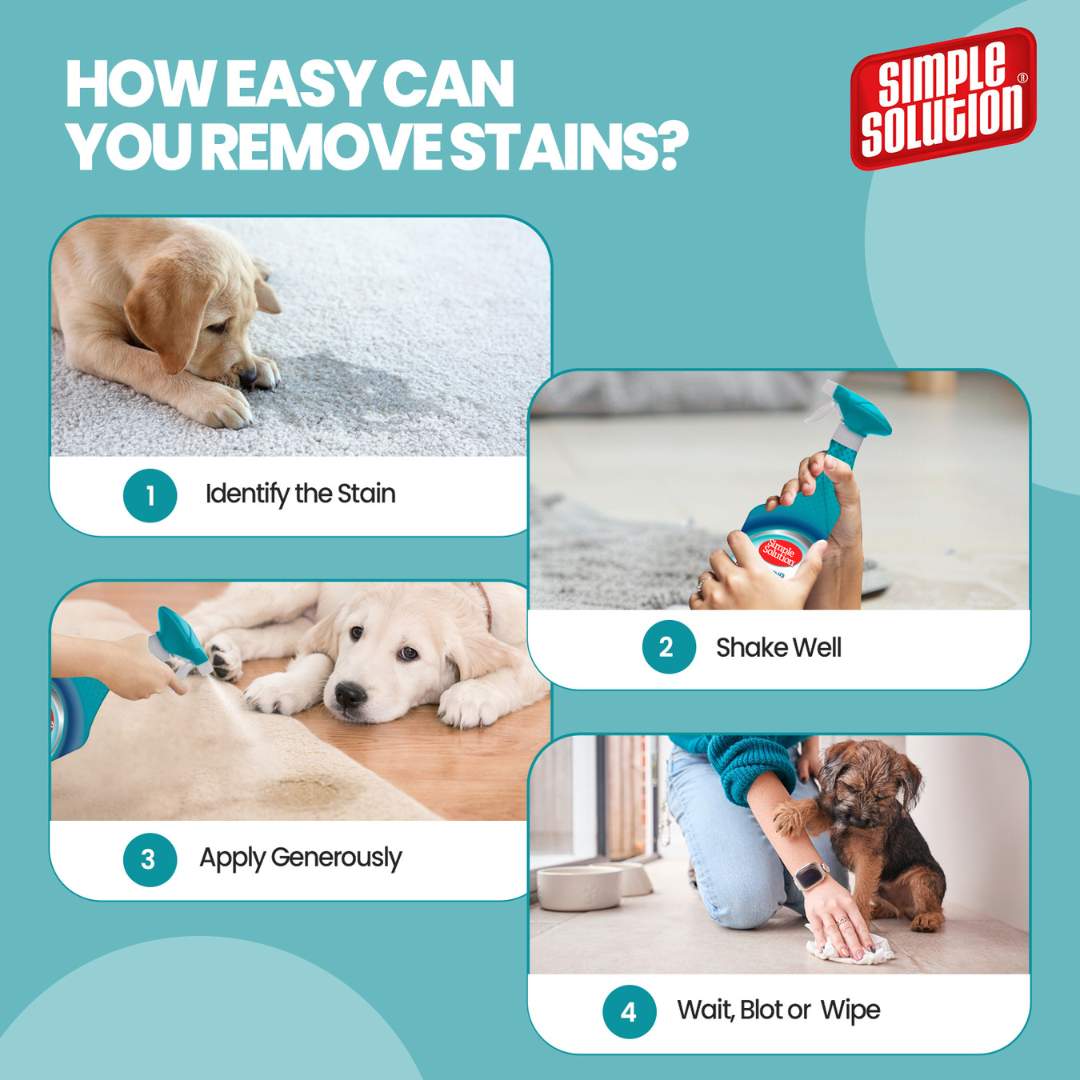 Simple Solution Dog Stain & Odor Remover (4 litre)