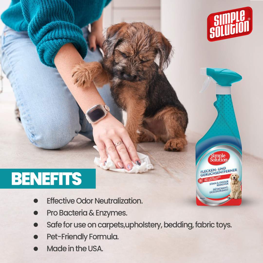 Simple Solution Dog Stain & Odor Remover (750 ml)