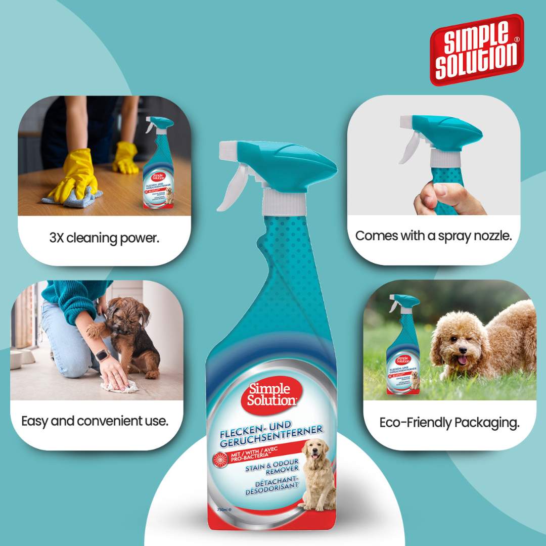 Simple Solution Dog Stain & Odor Remover (750 ml)