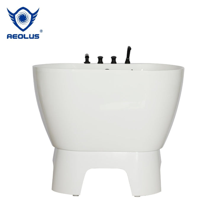 Acrylic Bathing Tub with Faucet and Sprayer Kit