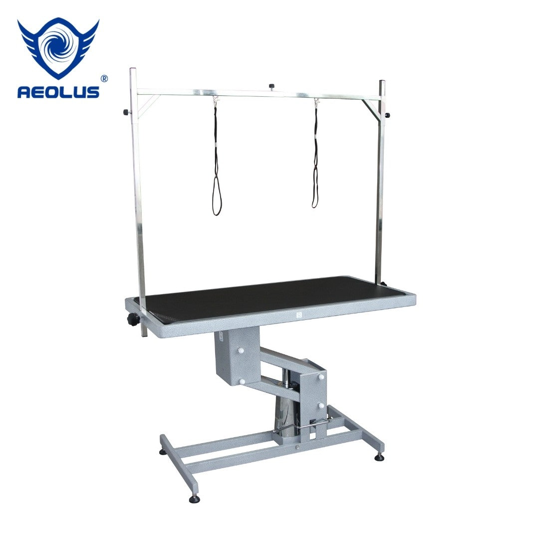 Aeolus Armour Z-Frame Hydraulic Pet Grooming Table - Large