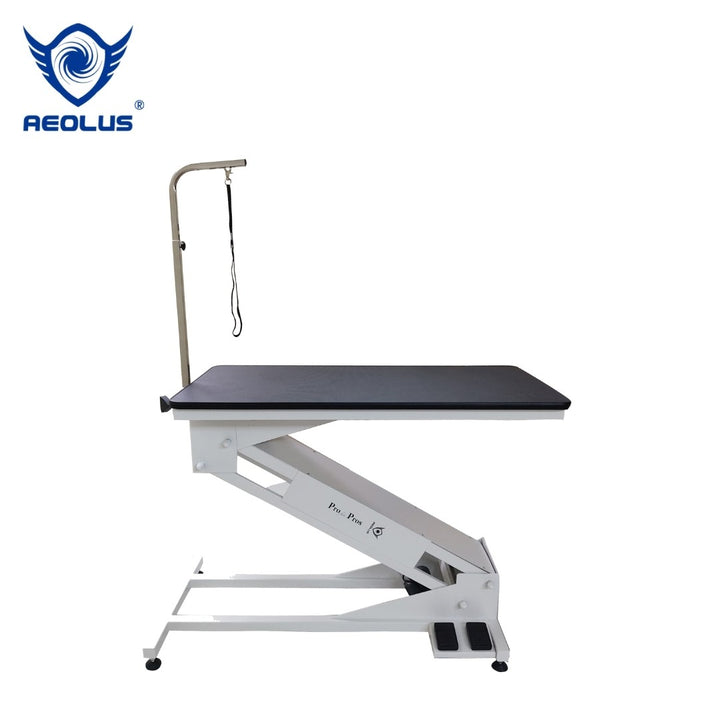 Aeolus Magna Big Z Electric Lifting Pet Grooming Table