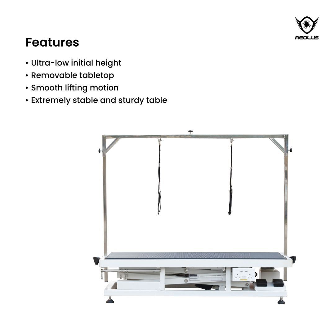 Aeolus Magna Accordion Electric Lifting Pet Grooming Table, Large