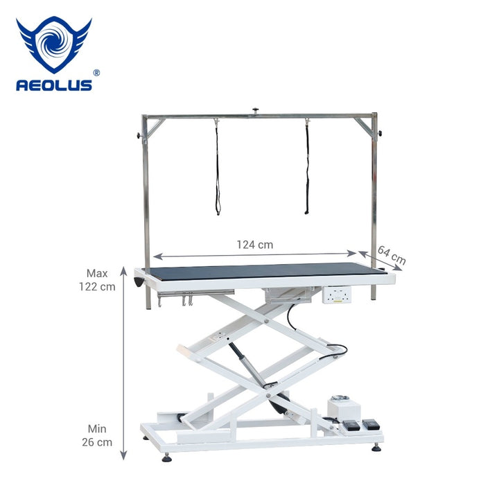 Aeolus Magna Accordion Electric Lifting Pet Grooming Table, Large