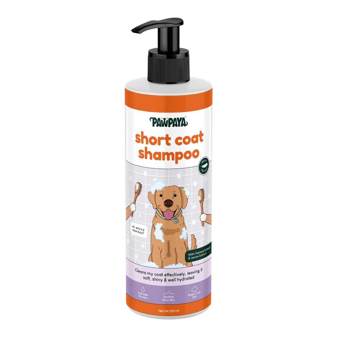 Pawpaya Short Coat Shampoo,  250 ml NEW , Short coat shampoo for dogs, Dog shampoo for short coat, natural dog shampoo in India 2024, gentle dog shampoo online, Buy best dog shampoo for large dogs, summer collections, sulfate free shampoo, paraben free dog shampoo, shiny coat shampoo,