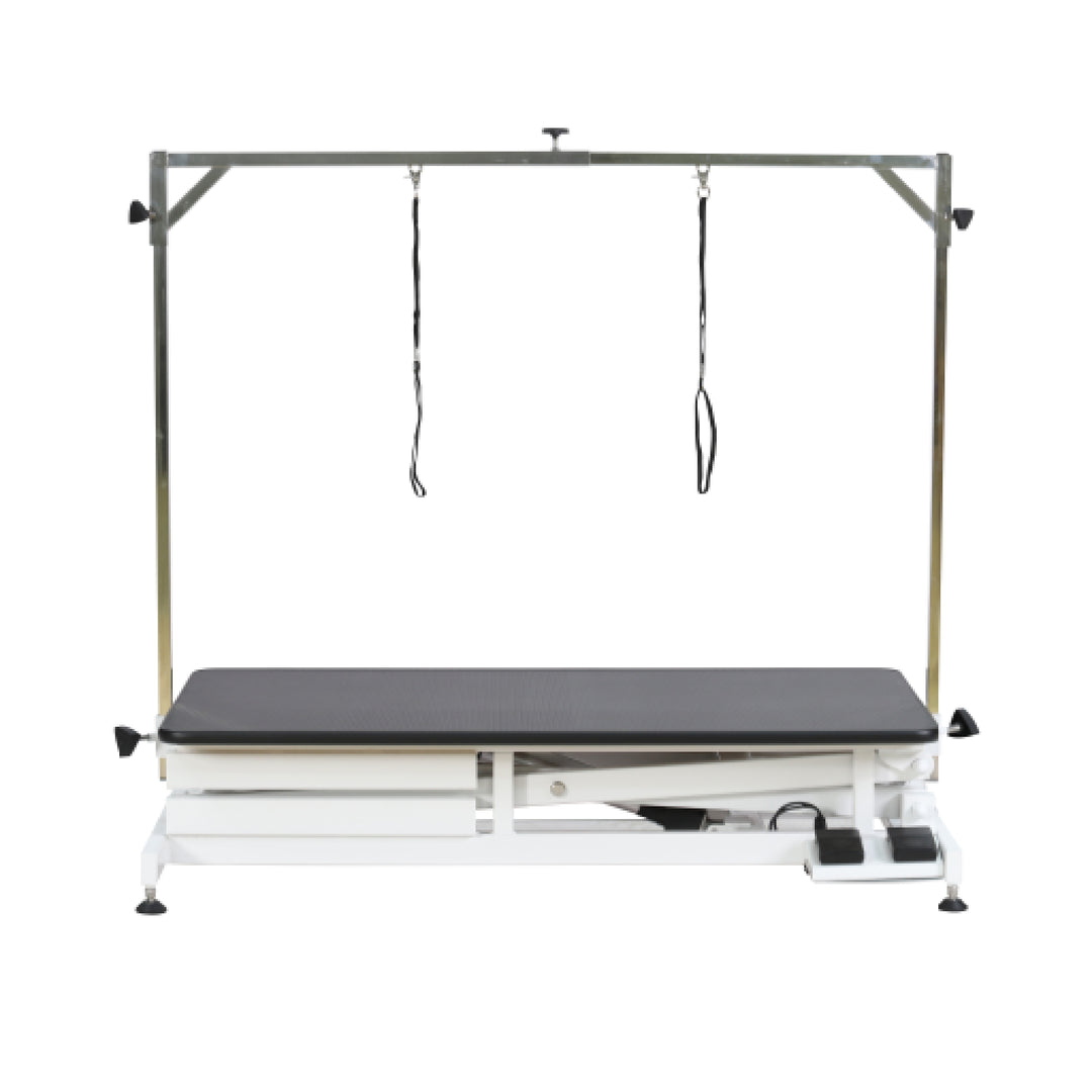 Aeolus Magna Eco Electric Lifting Table