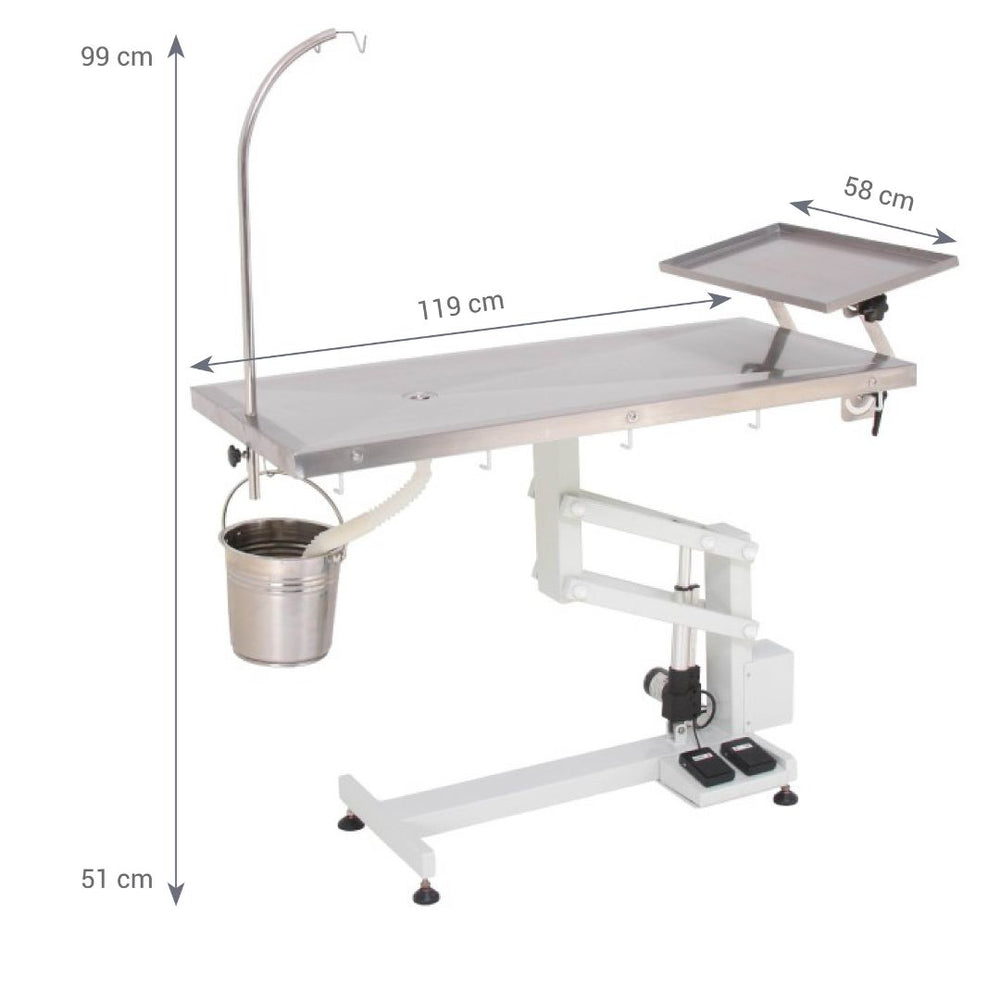 Affordable Electric Pet Exam Table for All Procedures (ABK Grooming): A veterinarian using the Aeolus Omega Eco Electric Pet Operation Table from ABK Grooming to comfortably examine a pet. This affordable electric table is ideal for various veterinary procedures, including examinations, surgery, and dental exams. Upgrade your practice! Shop Now at ABK Grooming.  pen_spark