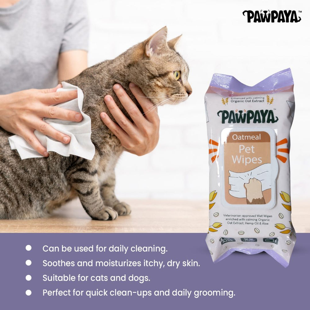 How to use pet wipes, benefits of pet wipes, choosing the right pet wipes, DIY pet wipes, pet wipes vs. baby wipes, are pet wipes safe, pet wipes ingredients to avoid, pet wipe alternatives, pet wipes for sensitive areas, pet wipes disposal, Pawpaya Oatmeal Pet Wipes review, Pawpaya Pet Wipes ingredients, where to buy Pawpaya Pet Wipes, Pawpaya Pet Wipes for dogs, Pawpaya Pet Wipes for cats, Pawpaya Pet Wipes for small animals, Pawpaya Pet Wipes bulk discount, Pawpaya Pet Wipes travel pack, Pawpaya Pet Wipe