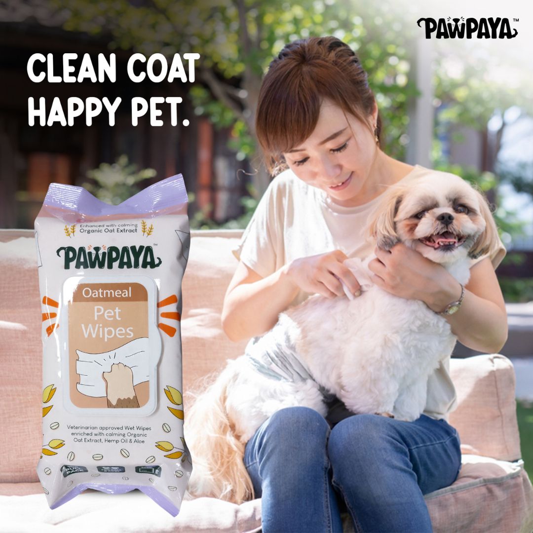 eco-friendly pet wipes with aloe vera, pet wipes safe for licking, pet wipes for quick cleanups, multi-purpose pet wipes, pet wipes for shedding control, pet wipes for muddy paws, pet wipes Pune, buy pet wipes online India, pet wipes delivery Pune, best pet wipes store Pune, pet wipes near me, can I use pet wipes on my dog's face, how often should I use pet wipes on my cat, do pet wipes expire, what are the best pet wipes for odor, can I make my own pet wipes, Pawpaya Pet Wipes vs. Earth Rated