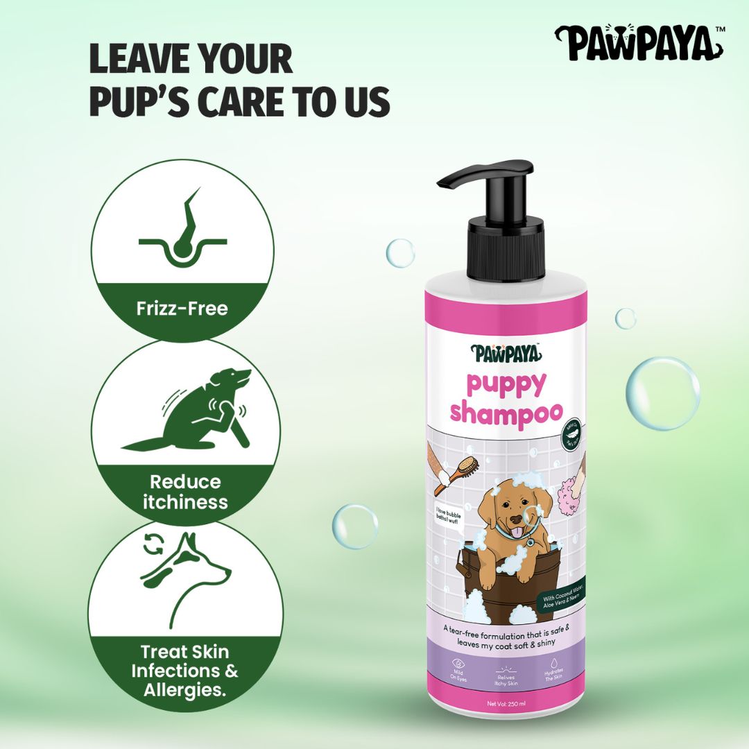 Pawpaya Puppy Shampoo, 250 ml, uppy shampoo, Gentle shampoo for puppies, shampoo for puppies, Under 500 dog shampoo, affordable dog shampoo, natural puppy shampoo, popular dog shampoo 2024, neem extract natural puppy shmapoo, puppy shampoo 2024, Pawpaya puppy shampoo in India,