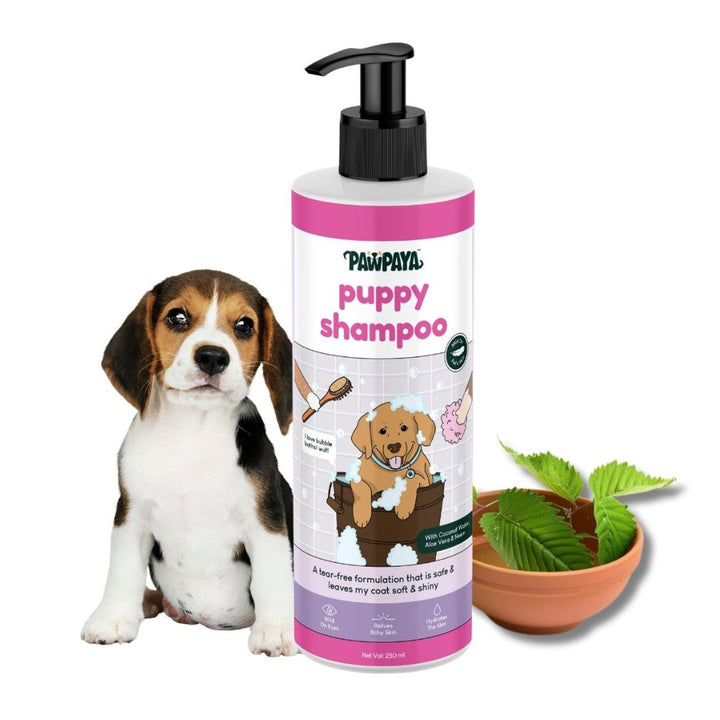 Pawpaya Puppy Shampoo, 250 ml