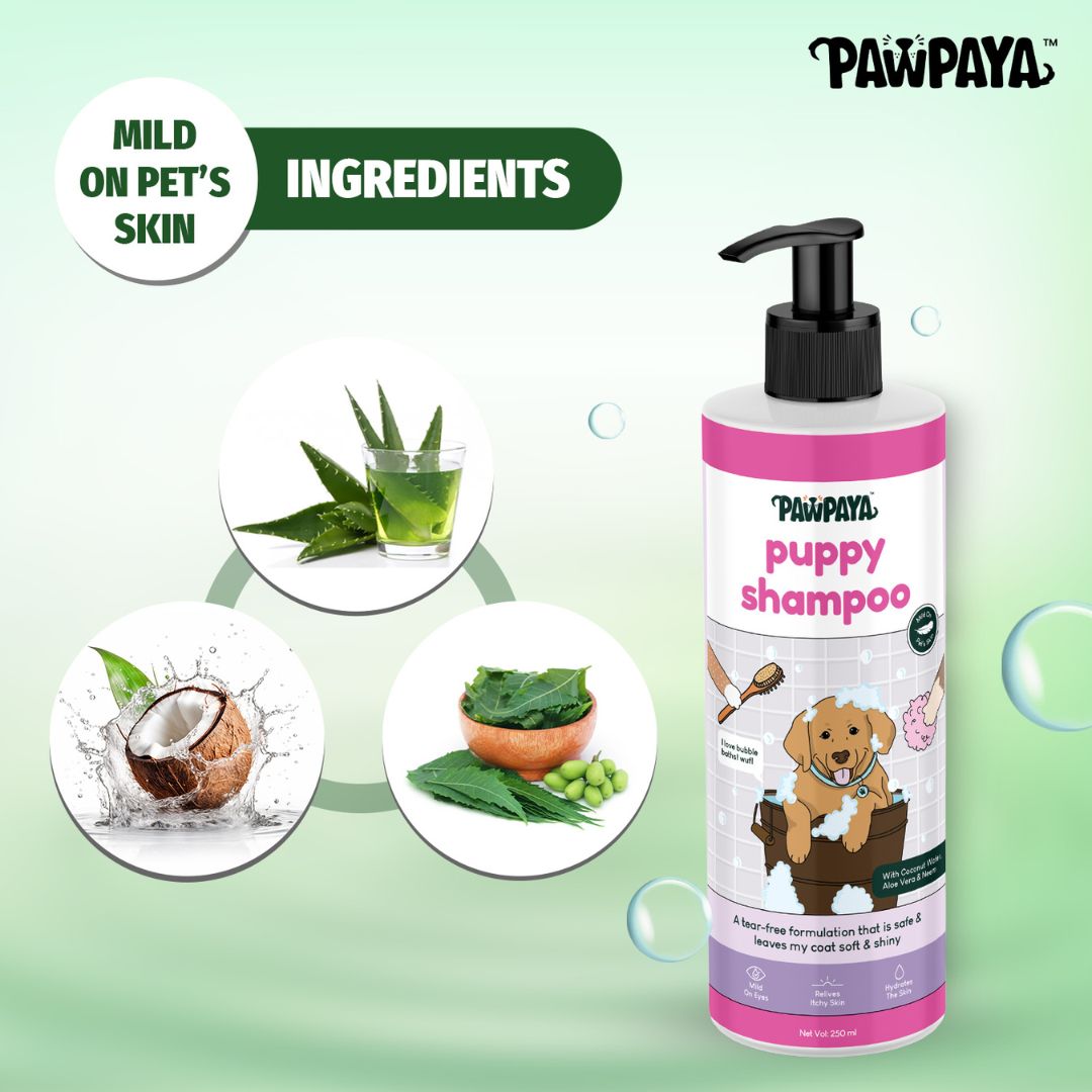 Pawpaya Puppy Shampoo, 250 ml, puppy shampoo at lowest price, Natural puppy shampoo, safe puppy shampoo, shampoo and conditioner collections, puppy shampoo and conditioner