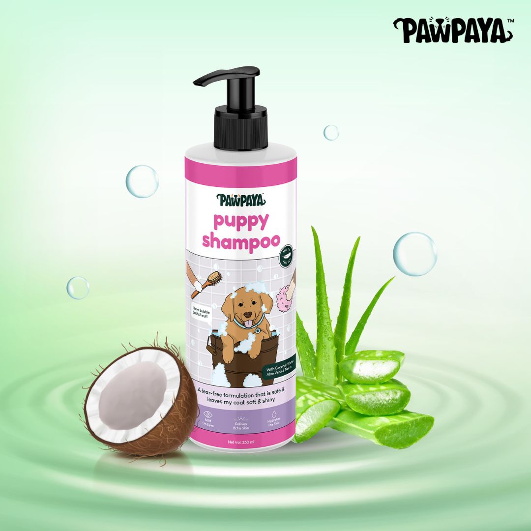 Pawpaya Puppy Shampoo, 250 ml, Best puppy shampoo, Gentle shampoo for puppies, Under 500 dog shampoo, affordable dog shampoo, natural puppy shampoo, popular dog shampoo 2024, neem extract natural puppy shmapoo, best shampoo for dogs in India, puppy shampoo for itchy skin,  uppy shampoo for fleas