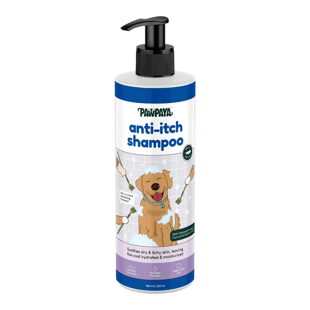 Pawpaya Anti-Itch Shampoo,  250 ml, ABK Grooming, Pawpaya dog shampoo at Best Price, Shampoo and Conditioner collecion, Summer colections, Summer deals, Best ant-itch shampoo, Popular Anti-itch shampoo