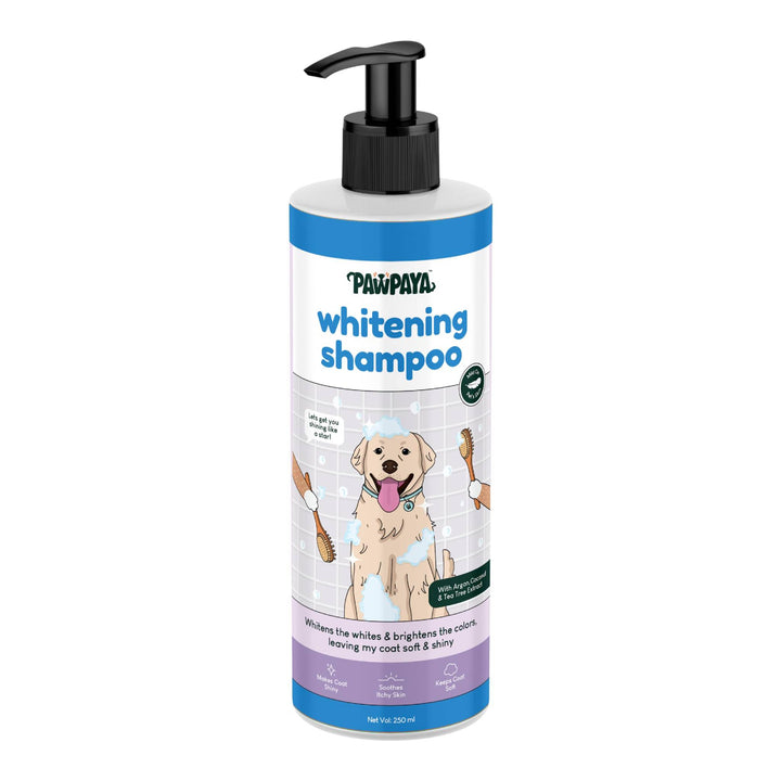 Pawpaya Whitening Dog Shampoo (PP1206):gentle shampoo brightens whites. Shop sulfate-free & cruelty-free formula at ABK Grooming , the best professional pet whitening shampoo, best pet whitening shampoo, wahl whitening shampoo for pets, whitening dog shampoo walmart