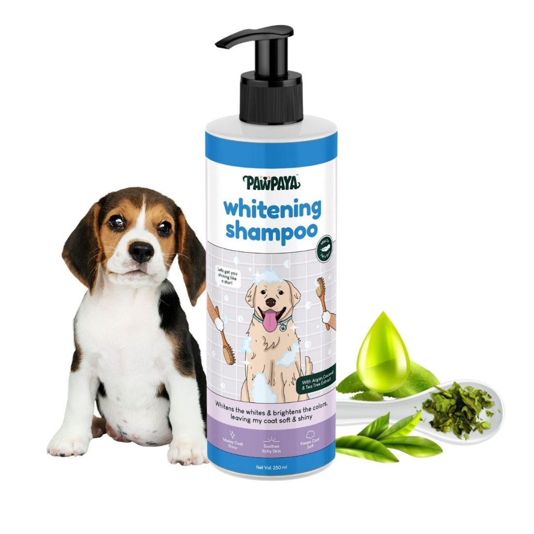 Pawpaya Whitening Coat Shampoo, 250 ml