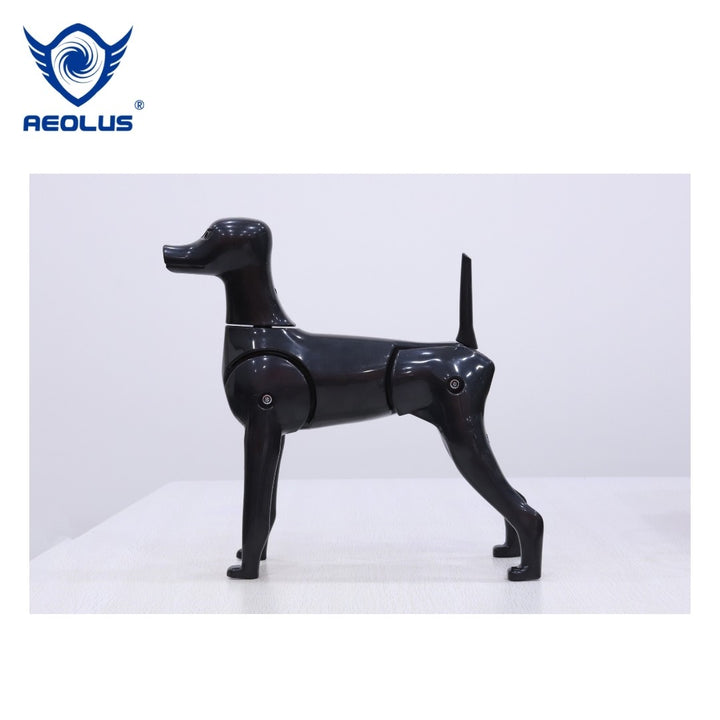 3-in-1 Mannequin Model Dog, Black