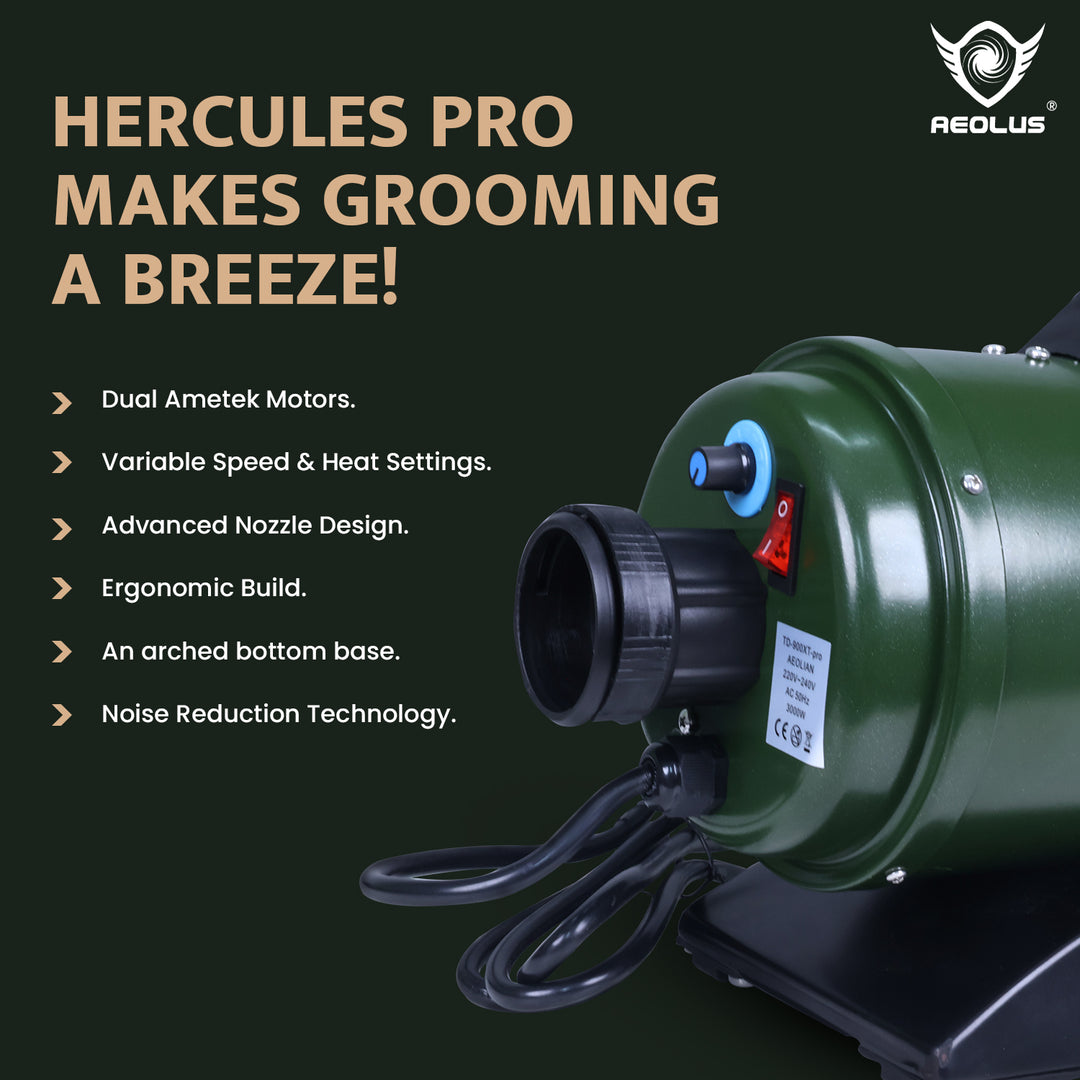 Hercules Pro Ametek Double Motor Pet Dryer - Avocado Green