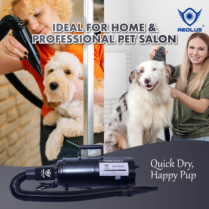 pet drying solution, pet grooming solution, pet comfort dryer, pet stress free dryer, pet allergy dryer, pet shedding dryer, pet drying accessories, pet grooming accessories, pet dryer reviews, pet grooming reviews, pet dryer comparison, pet grooming comparison, pet dryer deals, pet grooming deals, pet dryer for sale, pet grooming for sale, pet dryer online, pet grooming online