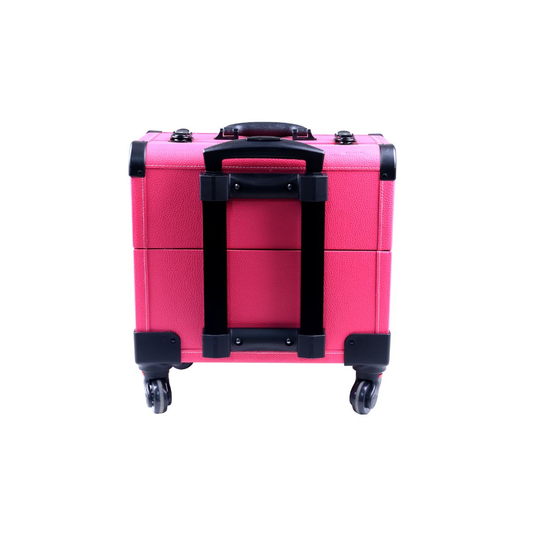 Aeolus Fancy Portable Tool Case