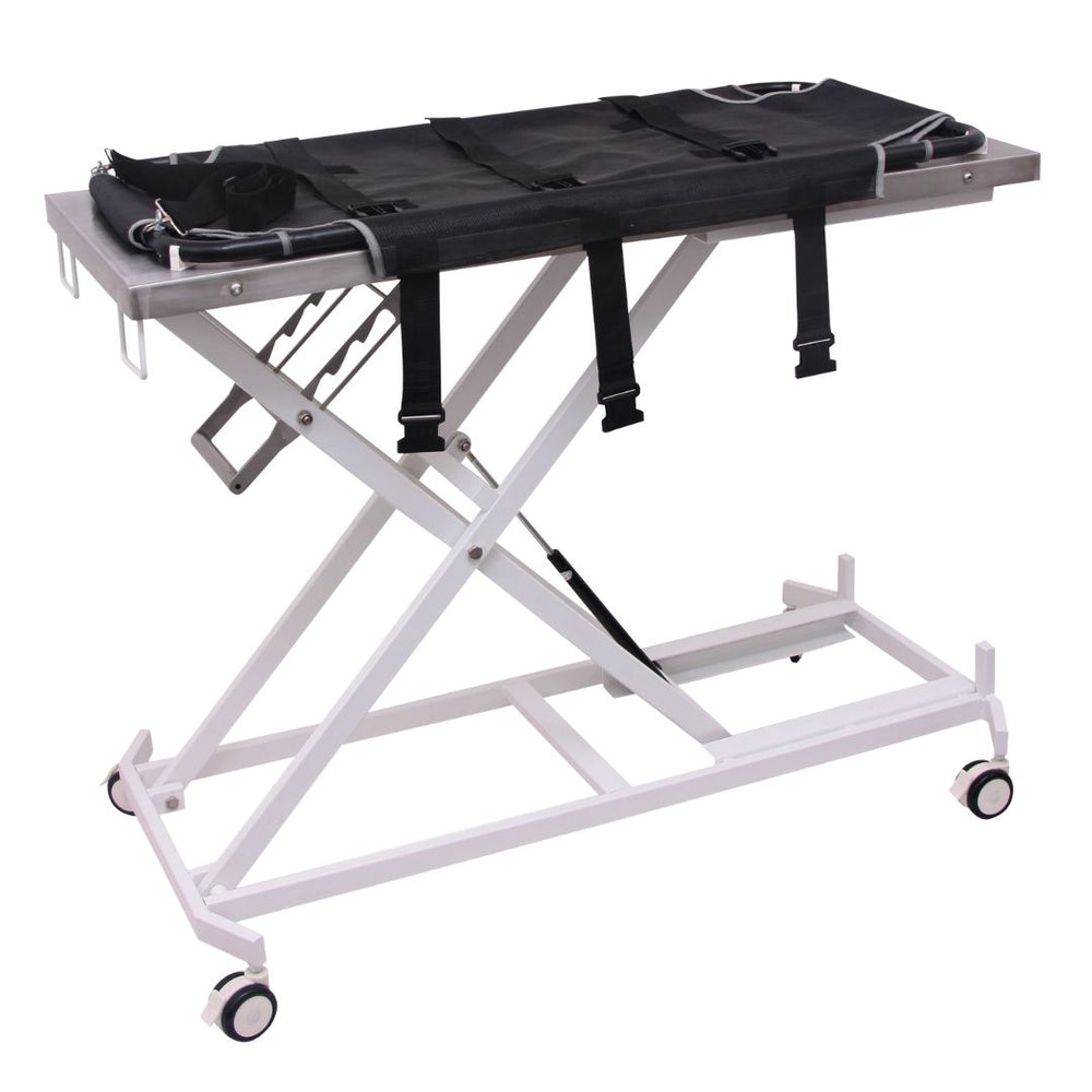 Lightweight Aeolus FT-835 for Pet Emergencies (ABK Grooming): A paramedic using the lightweight Aeolus FT-835 Transportation Table to transport a pet during an emergency situation. (Lightweight, Aeolus FT-835, Pet Emergencies, ABK Grooming)