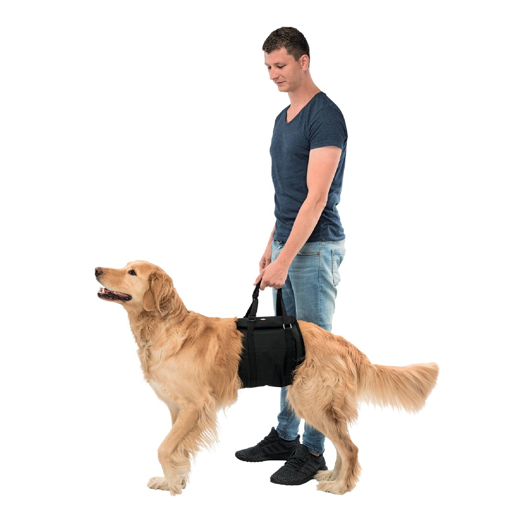 Trixie dog outlet trainer