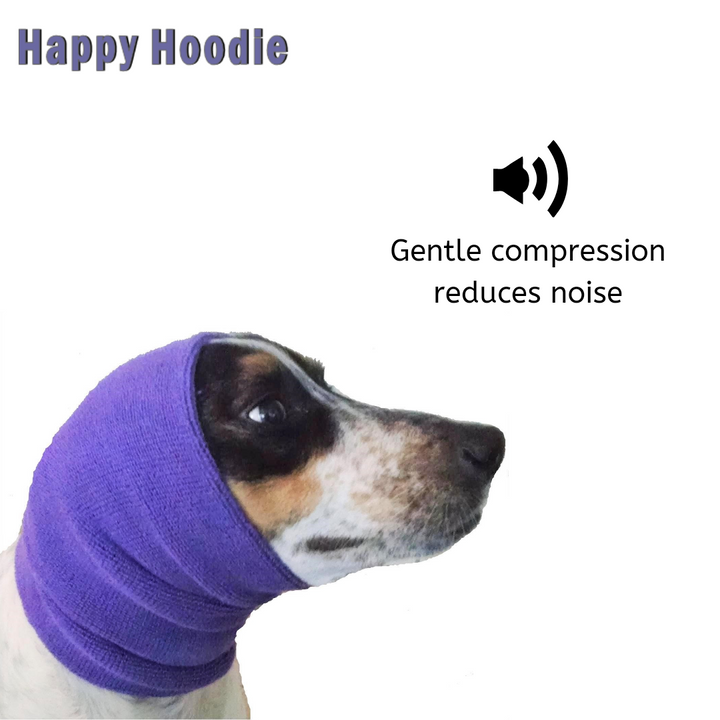 Happy Hoodie, Small