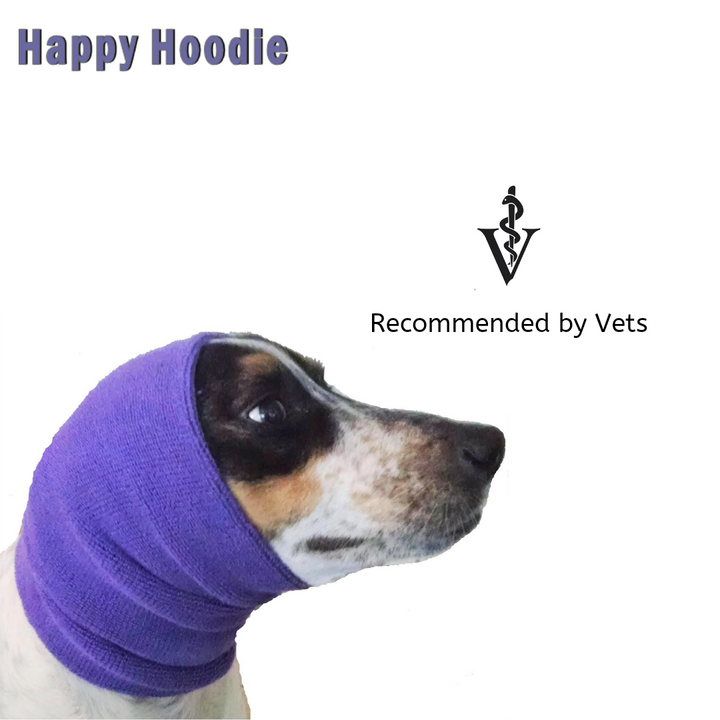 Happy Hoodie, Small