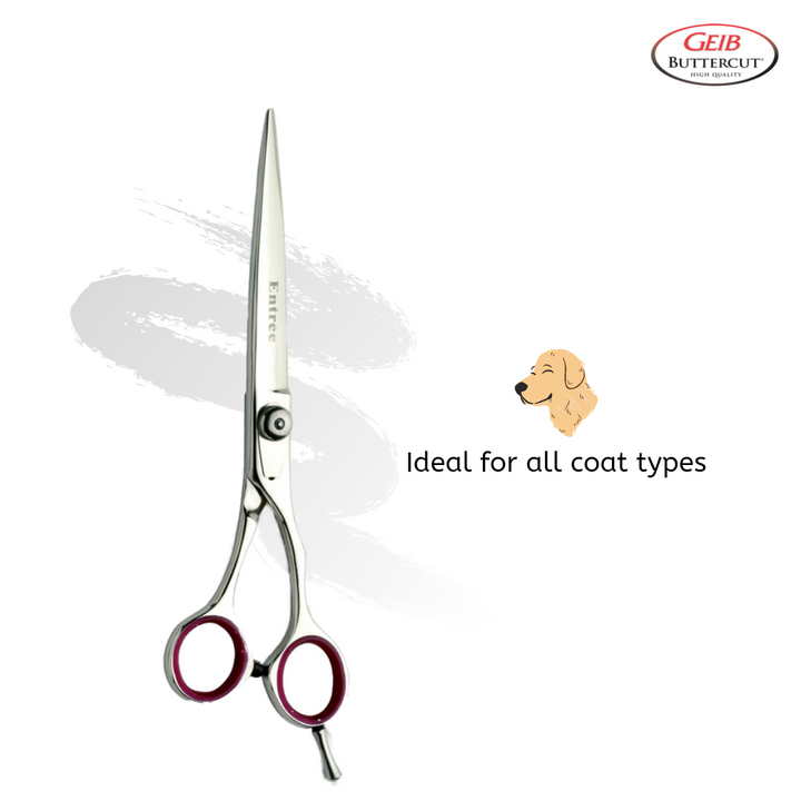 best pet grooming straight scissors for sensitive skin, best pet grooming straight scissors for grooming beginners, best pet grooming straight scissors for professional groomers, top-rated pet grooming straight scissors, highly recommended pet grooming straight scissors, popular pet grooming straight scissors, best-selling pet grooming straight scissors, pet grooming straight scissors reviews