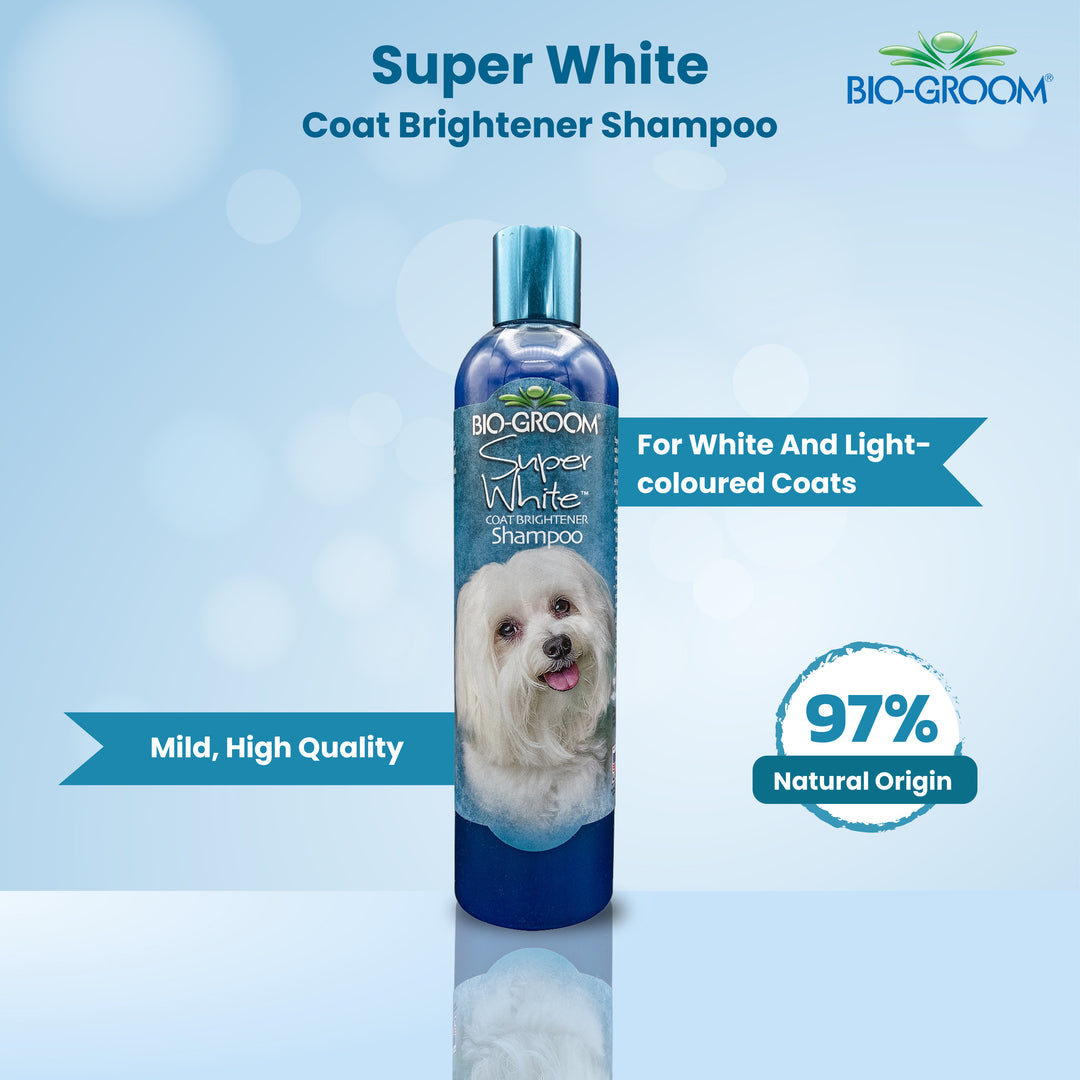  Bio groom Super White Coat Brighterner Pet Bathing Shampoo, Pet Grooming Shampoo, Pet shampoo for dogs and cats, Shampoo for dogs and cats, Safe for puppies and kittens, Shampoo suitable for dogs and cats of all breeds, Bio groom Shampoo, Best Pet hair grooming shampoo, affordable pet bathing shampoo, Cruelty free pet shampoo, Odour Eliminating Pet Shampoo, Best Puppy Shampoo for Fleas, Dog Shampoo, Hypo Allergenic Pet Shampoo, ABK Grooming, mild pet shampoo,  pet shampoo, super white dog shampoo, 