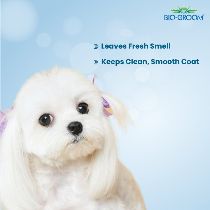 Biogroom Super White Coat Brightener Dog Shampoo, bio groom white shampoo, cruelty free dog shampoo, safe pet shampoo, Bio groom Super White Coat Brighterner Pet Bathing Shampoo, Pet Grooming Shampoo, Pet shampoo for dogs and cats, Shampoo for dogs Safe for puppies and kittens, Shampoo suitable for dogs and cats of all breeds, Bio groom Shampoo, Best Pet hair grooming shampoo, affordable pet bathing shampoo, Cruelty free pet shampoo, Odour Eliminating Dog Shampoo, Best Puppy Shampoo for Fleas, ABK Grooming