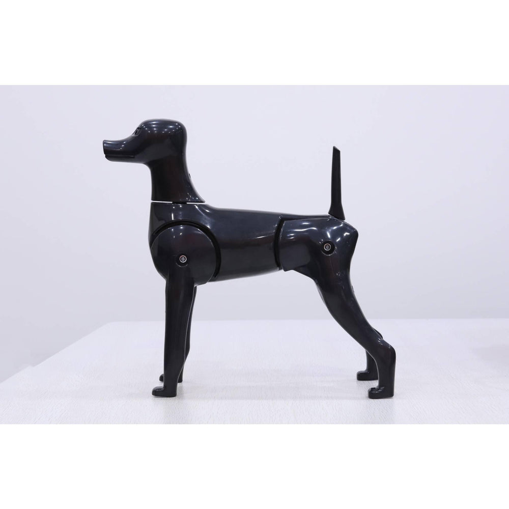 3-in-1 Mannequin Model Dog, Black - ABK Grooming