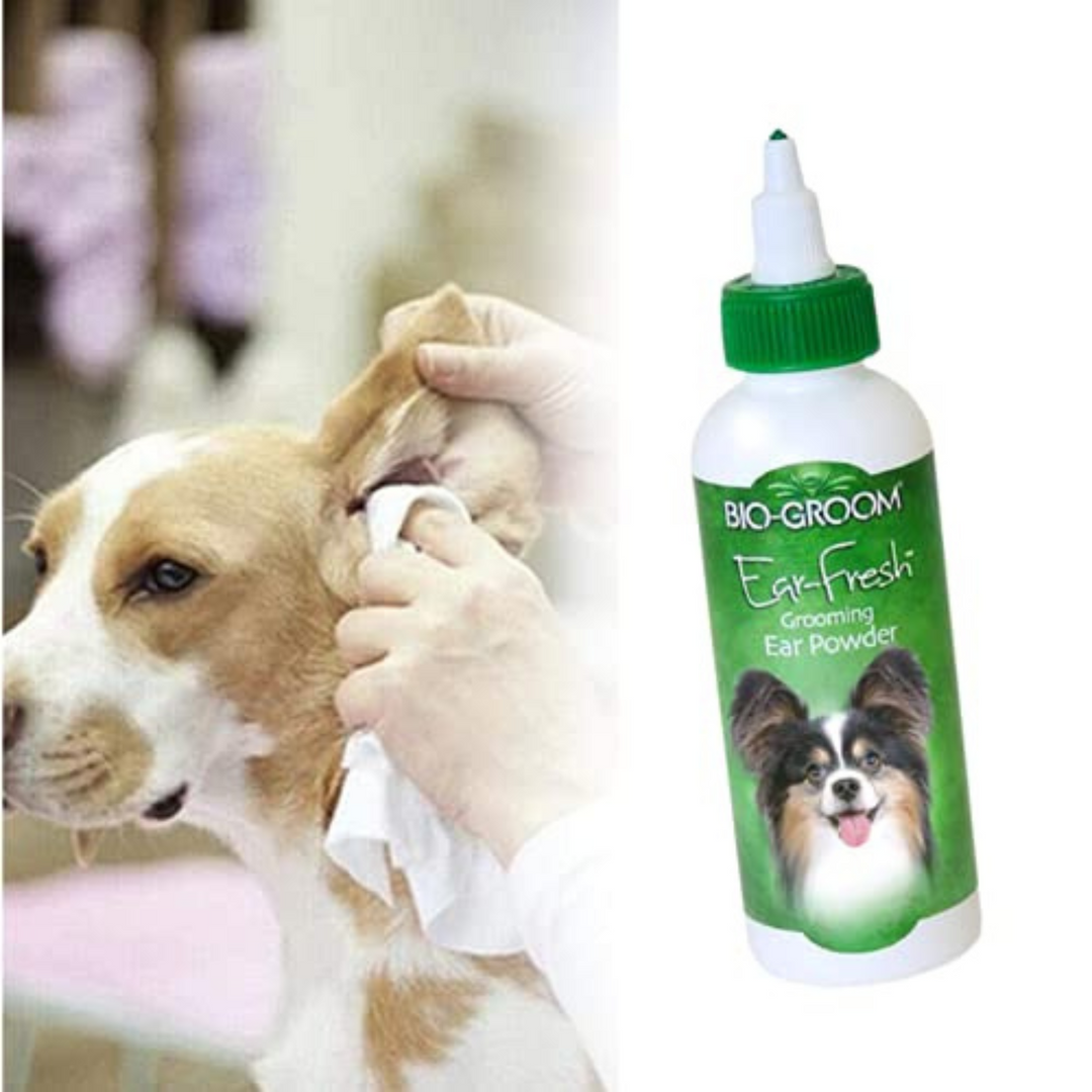 Ear powder for clearance dogs