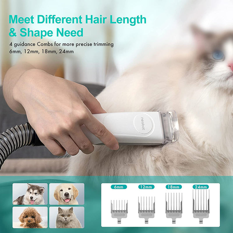 ABK Grooming - A Leading Pet Grooming Supplier in Pune, India