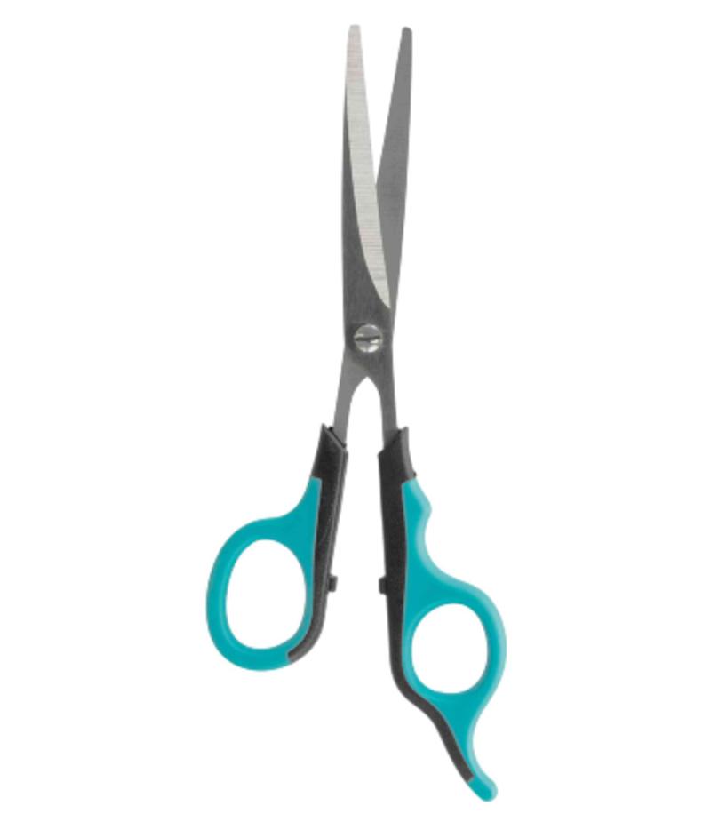 Straight Scissors - ABK Grooming Dog Curved Scissors, Straight Scissors Dog Grooming, Pet Scissors, Scissors For Grooming, Dog Hair Trimming Scissors, Pet Hair Scissors, Dog Shearing Scissors, Dog Cutting Scissors, Dog Hair Scissors, Dog Grooming Scissors Near Me, Thinning Scissors For Dog Grooming, Dog Thinning Scissors, Grooming Thinning Scissors, Cat Grooming Scissors, Pet Thinning Scissors,